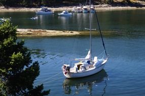 sea sailboat on the water