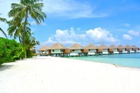 bungalows along the beach in the Maldives