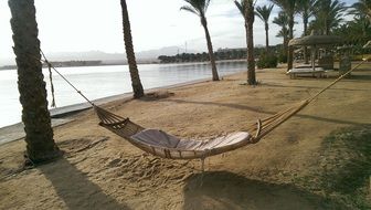 hammock beneath palms on beach, egypt