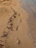 Footprints on the seashore