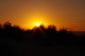 tender light of sunset afterglow