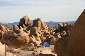 camping in joshua national park