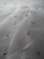 footprints sand