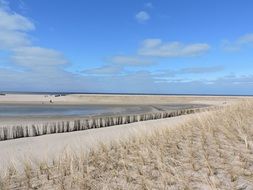 callantsoog beach landscape