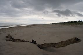 sandy coast of the Baltic Sea in Poland