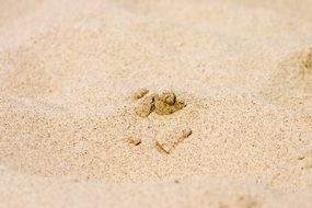 quartz sand on the beach close up