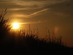 photo of yellow sun over the field