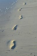 footprint on the sea beach