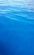 blue ocean in Hawaii
