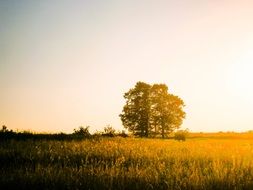 charmingly beautiful fields