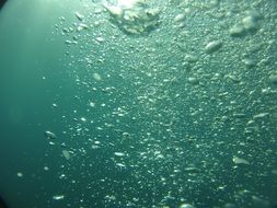 air bubbles in the ocean water