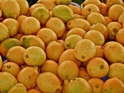 crop of yellow lemons