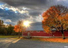 landscape of red wall shed in the park