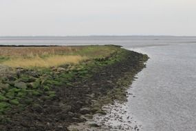 green coast with stones
