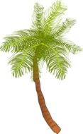 drawing palm tree