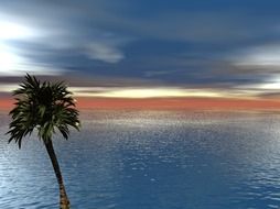 very beautiful tropical tree