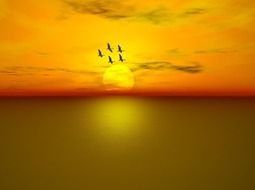 flight of geese on sunset background