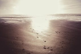 black and white photo of a sandy beach