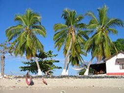tropical beach in madagascar