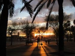 Beautiful Barcelona with plants at colorful sunset background