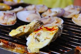 oysters on a grill close-up