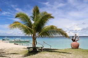 lonely palm tree on a tropical beach