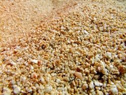 yellow grains of beach sand