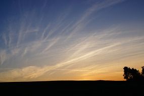 feathers of clouds in the sky