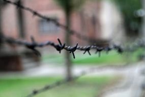 barbed wire along Auschwitz in Poland