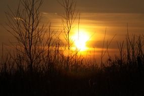 cute sunset