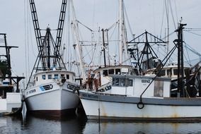 white fishing boats in the harbor