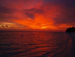 purple sunset in the Maldives