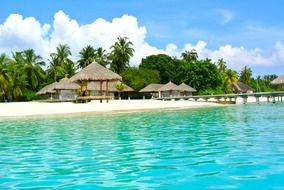 bungalows on beach, Maldives, coconut trees resort