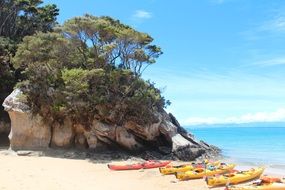 rocks with green trees near azure water