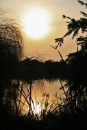 summer sunset over calm pond