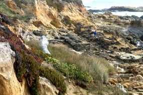 cavernous weathering on a beach in california