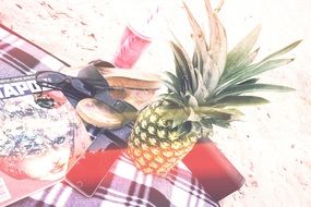 picnic with pineapple on the beach