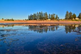 mona vale