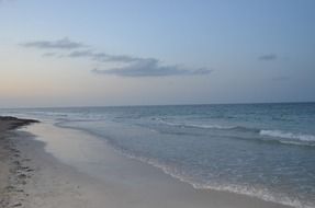 beach on the pacific coast