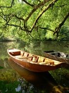 rowing boats in picturesque calm lake