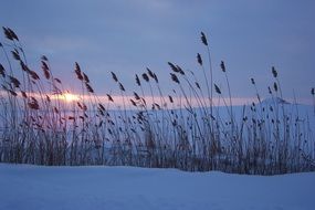 snow evening sunset