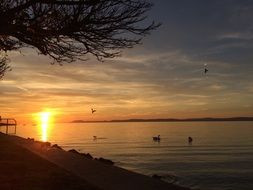 bright sunset over the lake