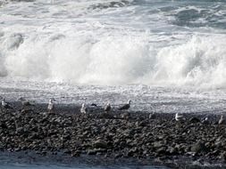 splashing ocean waves on the beach