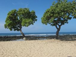 amazing ocean beach