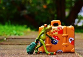 toy frog goes on a journey