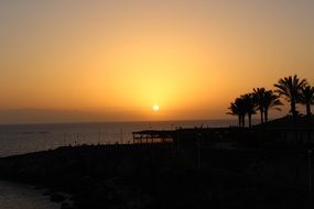 sunset on the background of a beach with green palm trees
