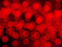 Red illuminated christmas lights