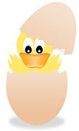 little duck sitting in easter egg