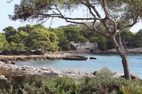 incredibly beautiful beach mallorca