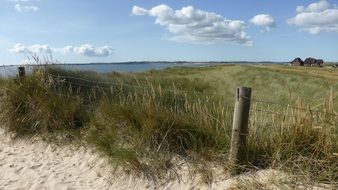 green field on a north sea bank
